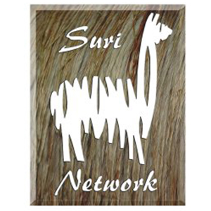 Suri Network logo