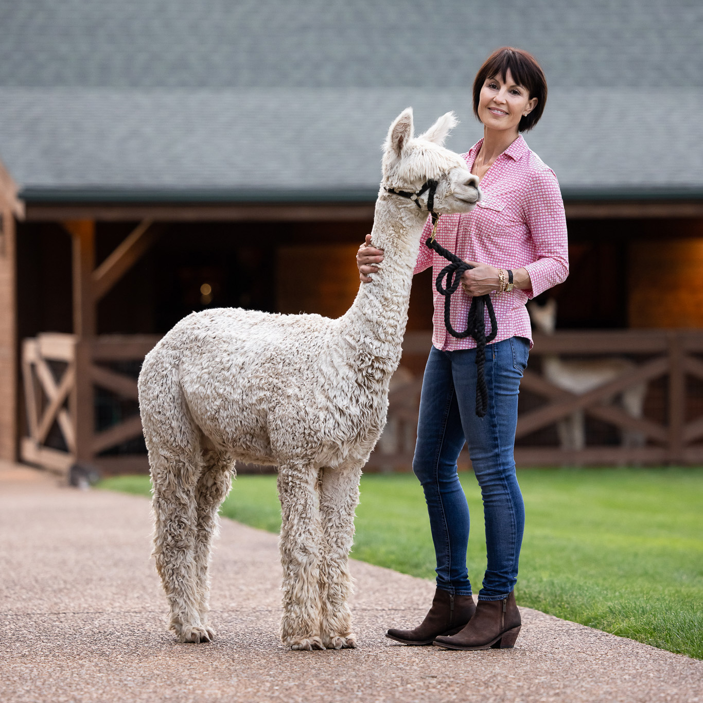 Woman standing proudly with a white alpaca