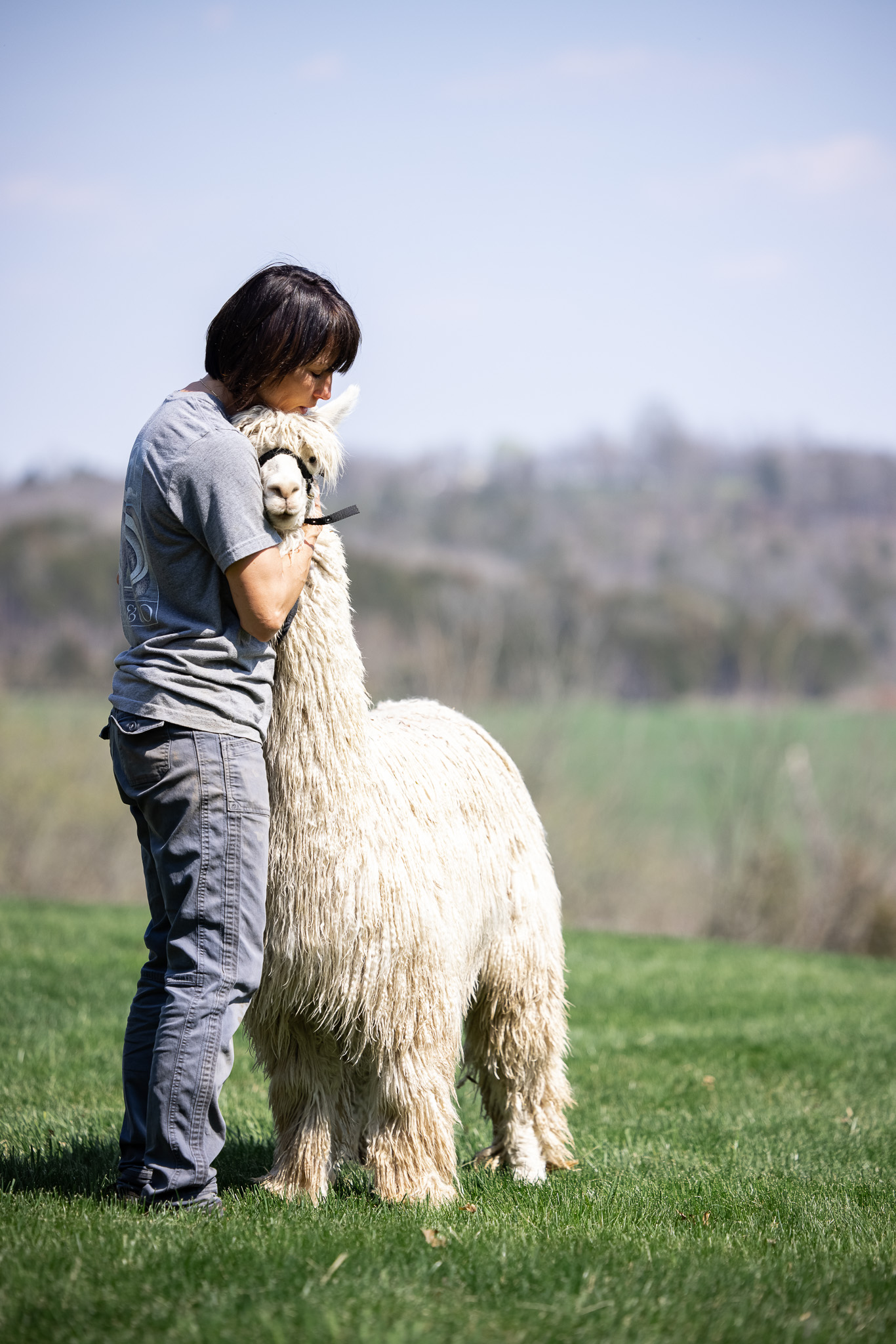 A woman hugging a furry alpaca in a field